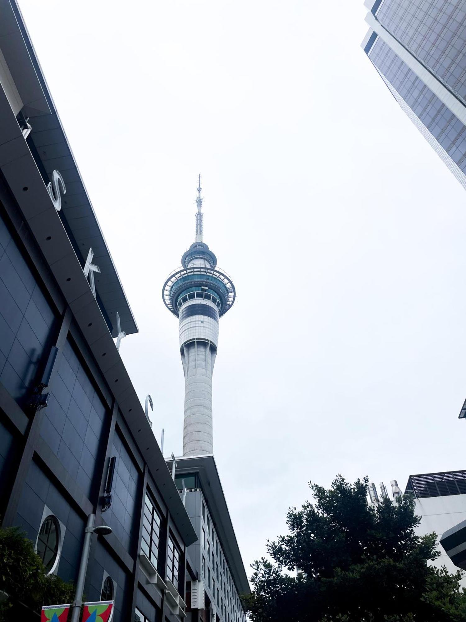 Luxury Apartment - Parking - Hot Tub - Stunning Views Auckland Eksteriør bilde